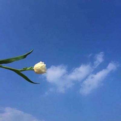 股价双双收跌,紫金矿业斥资超百亿元高位接盘赤峰黄金? 业内称市场向头部加速集中
