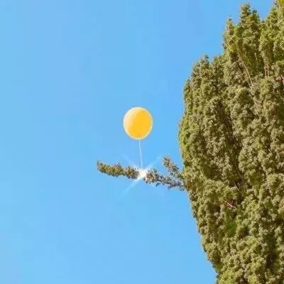 抢滩登陆3D手机单机版