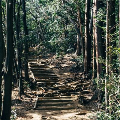 122彩票娱乐下载app/手机app下载