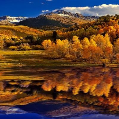 今天敢持刀闯中国使馆，明天呢？