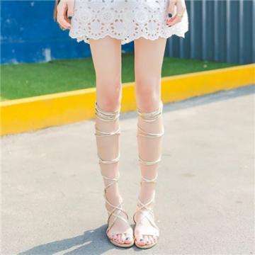 魏德米勒 | 两会定调，储能正在...